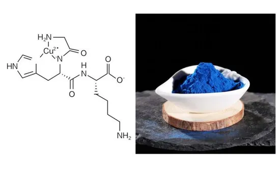 GHK-Cu Peptide 99% Purity Lyophilized Powder for Skin Repair and Hair Growth Research 49557-75-7